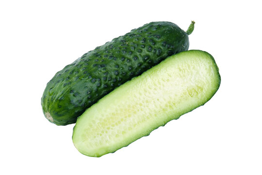 玛莎黄瓜