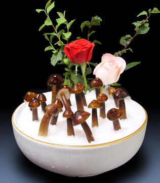 鸡枞菌斗鸡菇伞把菇山蘑白蚁菇鸡菌