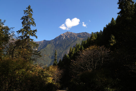 山景