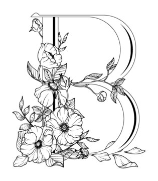 花卉装饰字母B