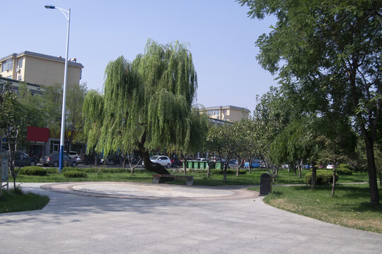 公园
