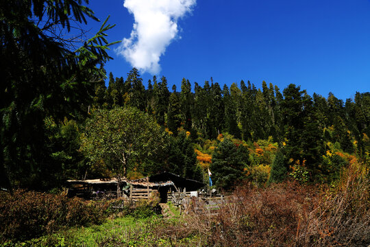 山林牛棚