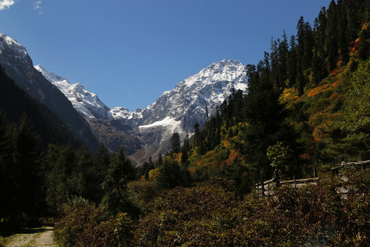 雪山脚下