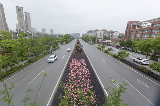 月季大道
