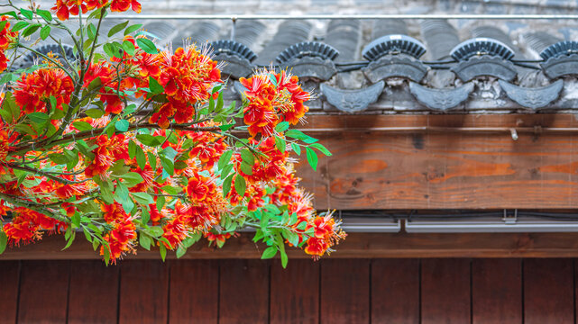 建筑装饰假花