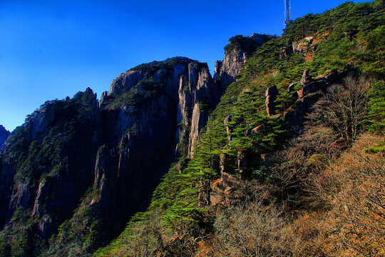 黄山风景