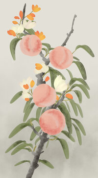 手绘桃子装饰画