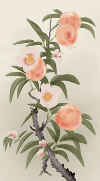 手绘桃子装饰画