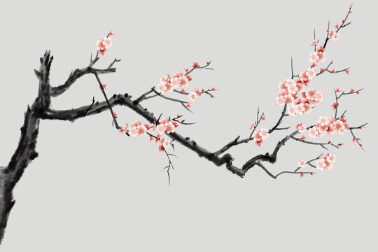 国画梅花