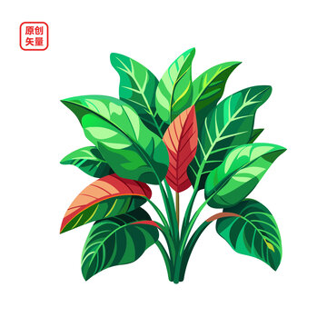 矢量插图植物绿色大叶绿植