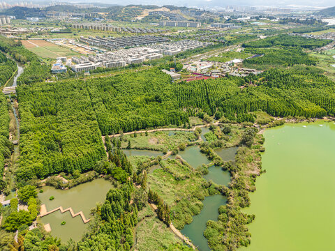 航拍昆明滇池捞鱼河湿地公园景观