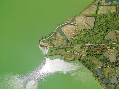 航拍昆明滇池捞鱼河湿地公园景观