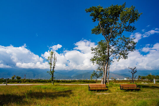 苍山风光