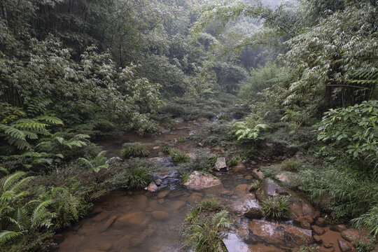 四洞沟风光