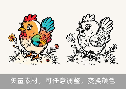 鸡