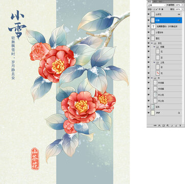 山茶花小雪节气插画