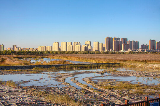 大庆湿地