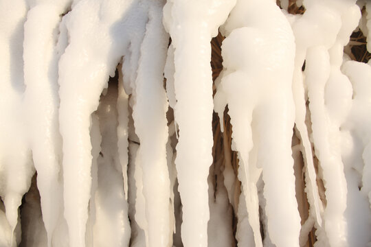 冬季雪后美景