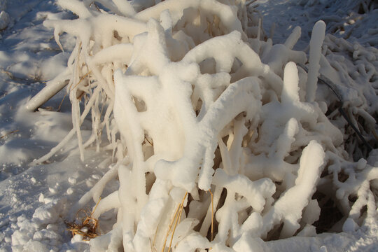 雪白世界