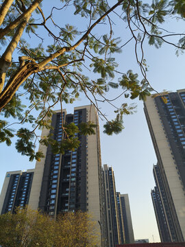 建筑