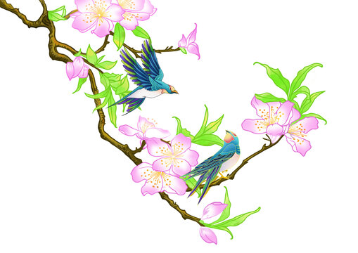 桃花