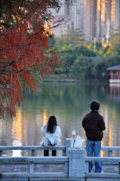 金山湖公园风光