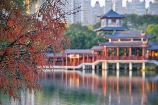 金山湖公园风光