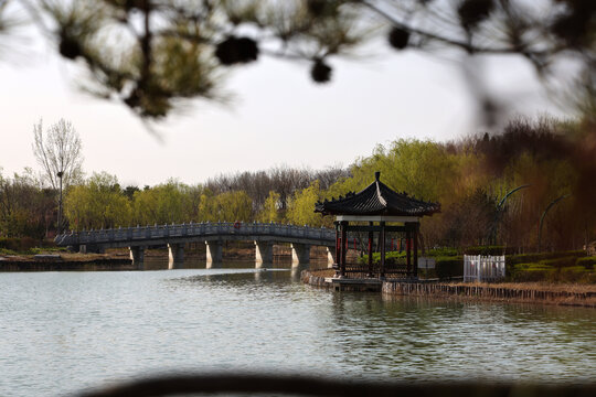春色满园