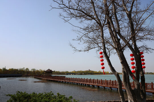 马踏湖