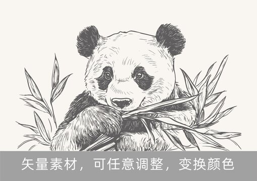 熊猫吃竹子