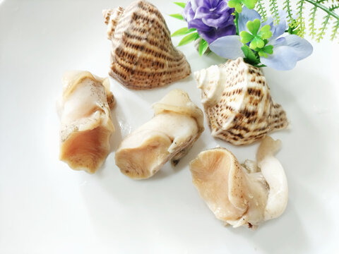 翡翠螺头北朝螺头翡翠螺肉海螺肉海螺头