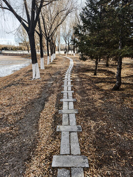 冬日河边小路