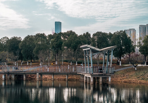 湿地景观