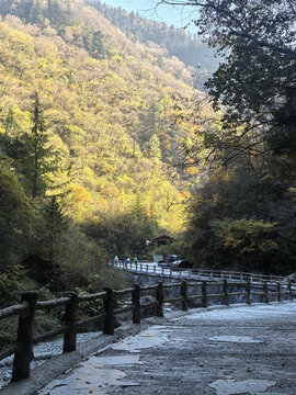 官鹅沟
