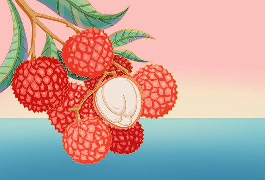 荔枝水果包装插图