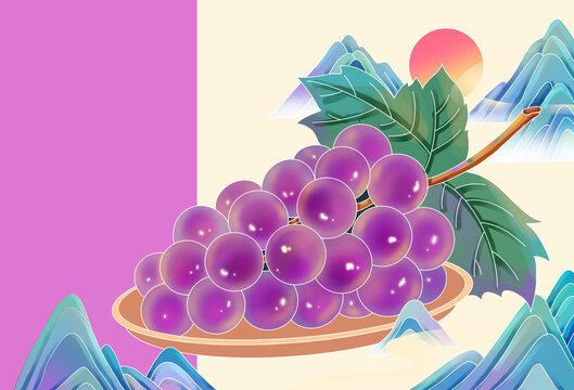 葡萄包装插画设计