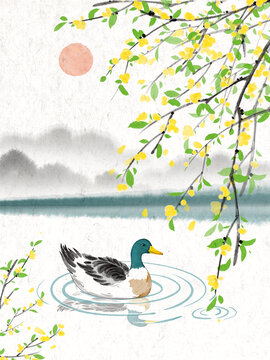 水墨禅意国风春季迎春花鸭子戏水插画