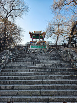 龙沙公园冬天