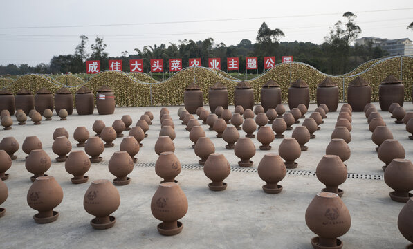大头菜发酵坛