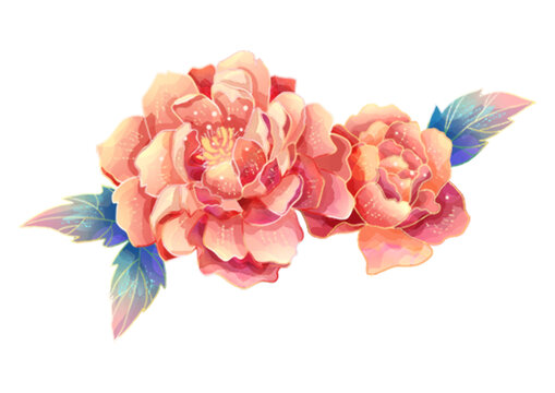两朵牡丹花国潮手绘插画免抠素材