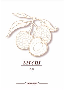 水果荔枝素材