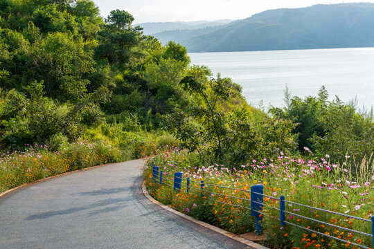 湖边鲜花盛开的蜿蜒道路