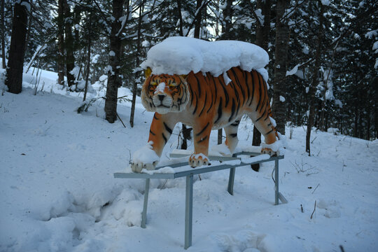 雪乡