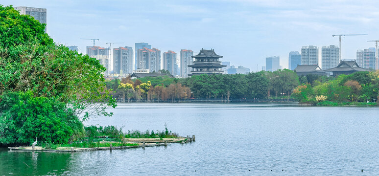 广州市海珠湖公园