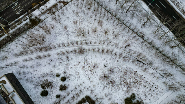 北方的雪
