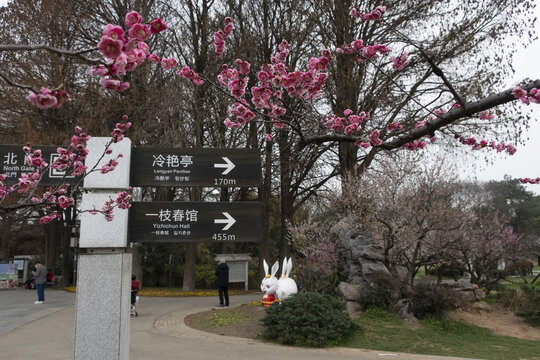 东湖梅园