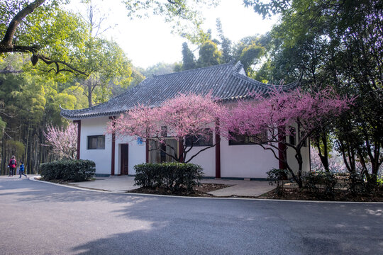 东湖梅园仿古公厕