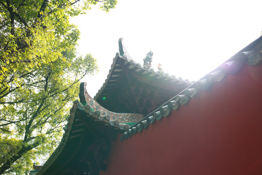 五羊道观