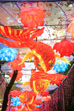 锦鲤花灯