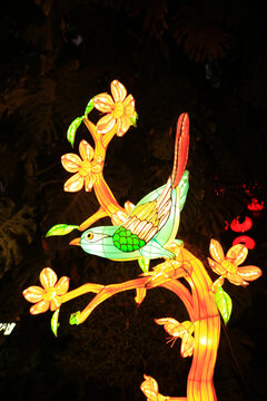 花灯